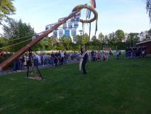 TIM_030