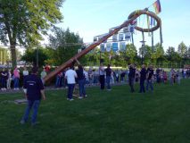 TIM_032
