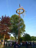 TIM_041