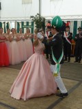 SFSo_2017_095