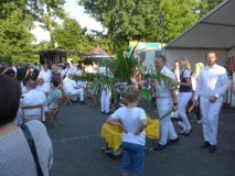 SFSo_2017_159