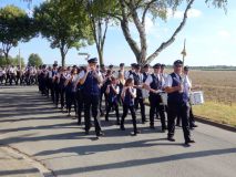 SFSa_2018_012