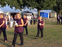 SFSa_2018_084