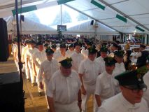 SFSa_2018_116