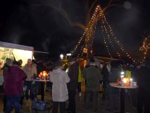 KRF_2022_004