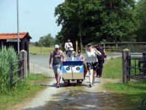 OMS_2022_010