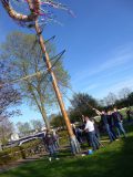 TIM_2023_019