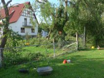 TOM_2023_011