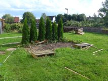 TOM_2023_016