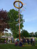 TIM_2024_014